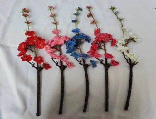 Chinese Plum Blossom Flowers